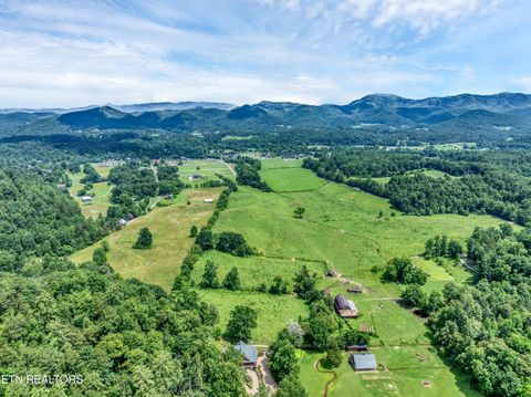 Tiny photo for 584 Bethel Church Rd, Townsend, TN 37882 (MLS # 1331370)