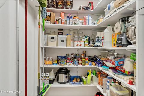 Tiny photo for 584 Bethel Church Rd, Townsend, TN 37882 (MLS # 1331370)