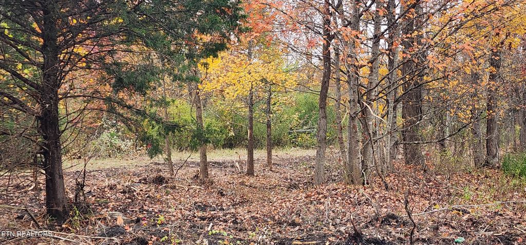 Photo of Edward Smith Rd, Robbins, TN 37852 (MLS # 1333427)