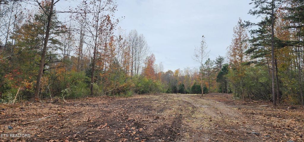 Photo of Edward Smith Rd, Robbins, TN 37852 (MLS # 1333427)