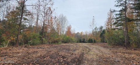 Photo of Edward Smith Rd, Robbins, TN 37852 (MLS # 1333427)
