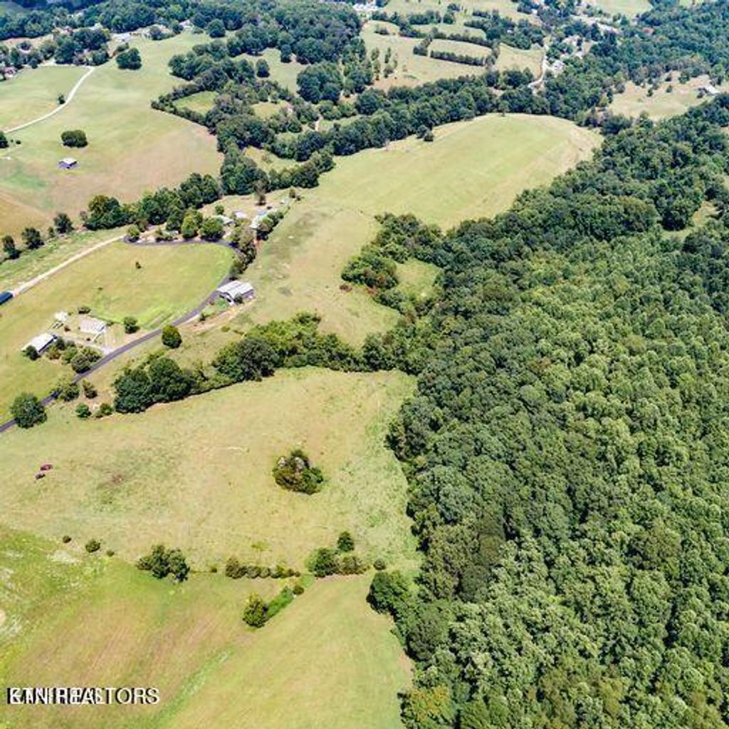 Photo of 2 Coffey Rd, New Tazewell, TN 37825 (MLS # 1260422)