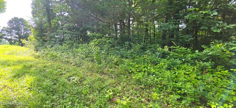 Photo of 18 Pine Lane, Maynardville, TN 37807 (MLS # 1346507)