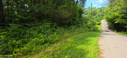 Tiny photo for 18 Pine Lane, Maynardville, TN 37807 (MLS # 1346507)