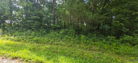 Tiny photo for 18 Pine Lane, Maynardville, TN 37807 (MLS # 1346507)