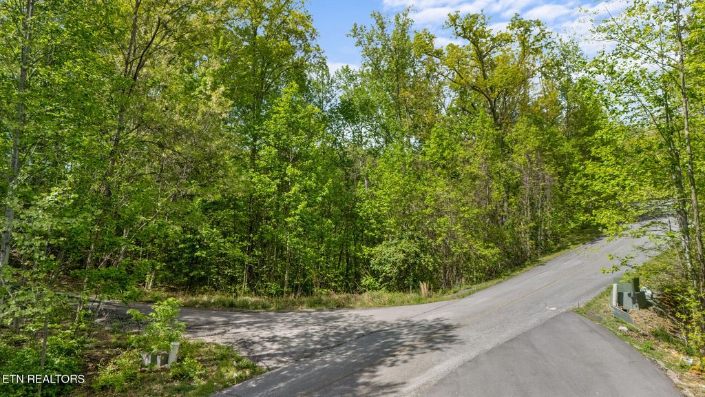 Photo of 66 Redtail Rd, Sevierville, TN 37862 (MLS # 1299386)