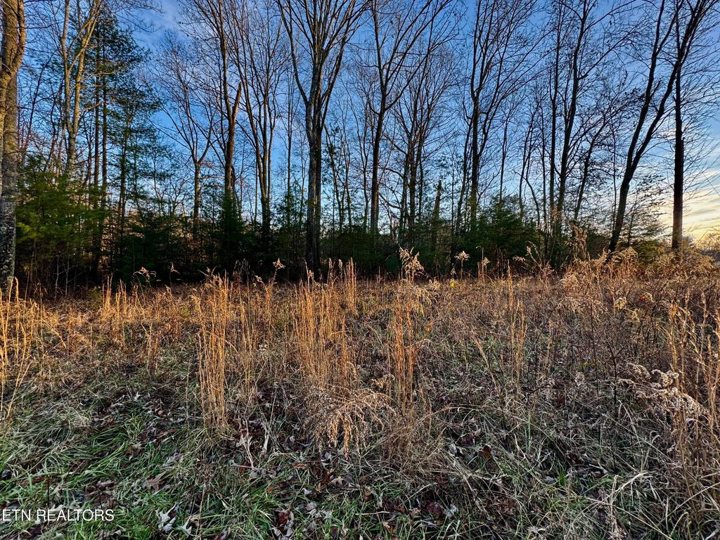 Photo of George Drive, Deer Lodge, TN 37726 (MLS # 1324716)