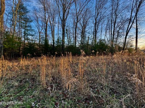 Tiny photo for George Drive, Deer Lodge, TN 37726 (MLS # 1324716)