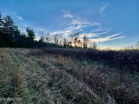 Tiny photo for George Drive, Deer Lodge, TN 37726 (MLS # 1324716)