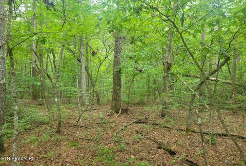 Tiny photo for George Drive, Deer Lodge, TN 37726 (MLS # 1324716)