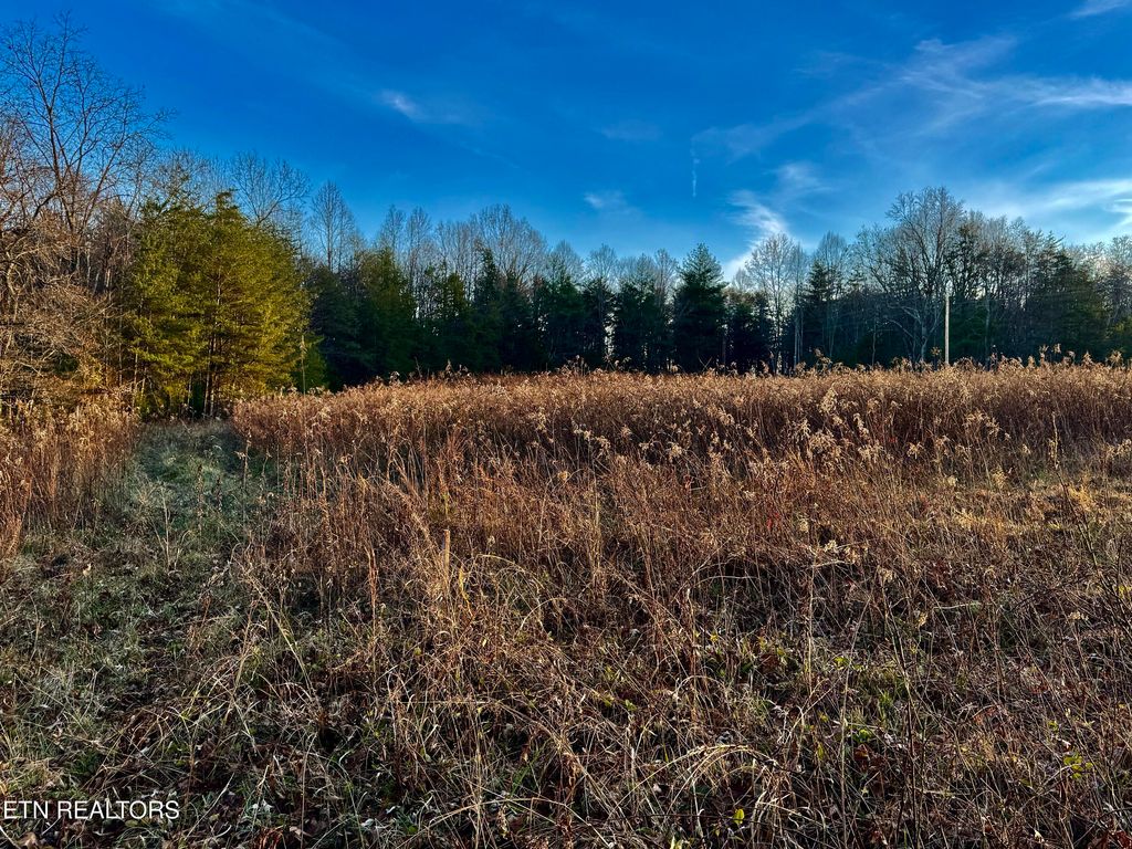 Photo of George Drive, Deer Lodge, TN 37726 (MLS # 1324716)