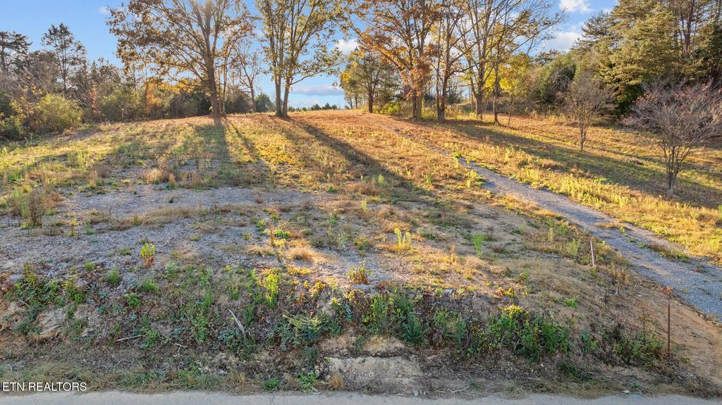 Photo of 3 Rodgers Rd, Corryton, TN 37721 (MLS # 1299572)