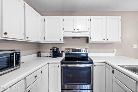 Tiny photo for 110 Scenic Springs Lane, Maynardville, TN 37807 (MLS # 1339333)