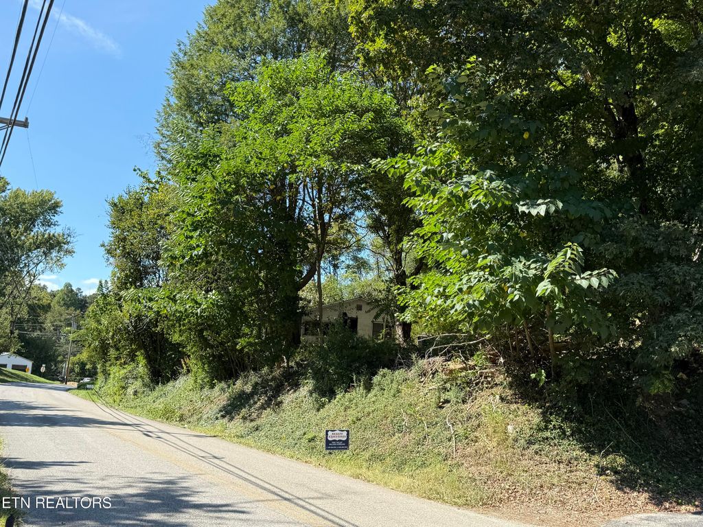 Photo of 1409 Eureka Rd, Rockwood, TN 37854 (MLS # 1313187)