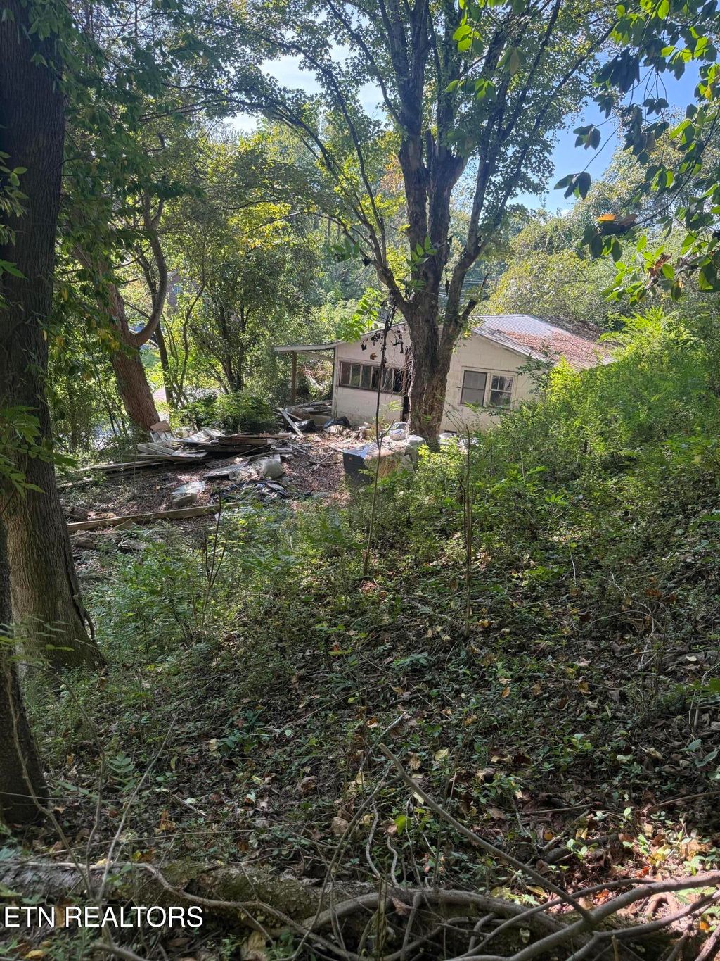 Photo of 1409 Eureka Rd, Rockwood, TN 37854 (MLS # 1313187)