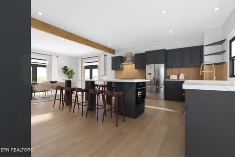 Tiny photo for 245 Brownsridge Rd, Gatlinburg, TN 37738 (MLS # 1328180)