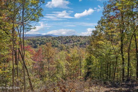 Photo of Sheep Ranch Rd, Robbins, TN 37852 (MLS # 1322884)