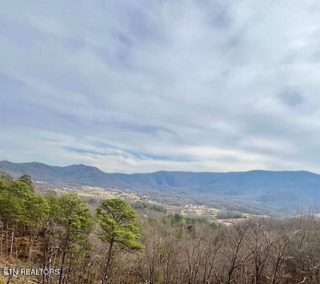 Photo of 2861 Indigo Lane, Sevierville, TN 37862 (MLS # 1288254)