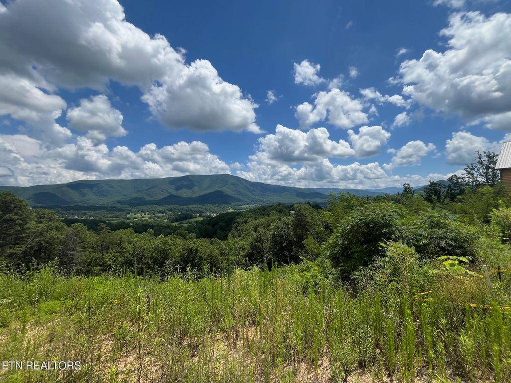 Photo of 2861 Indigo Lane, Sevierville, TN 37862 (MLS # 1288254)