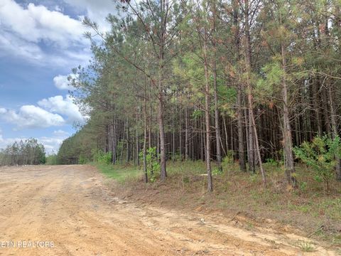 Retro Hughes Rd Sale Creek TN 37373
