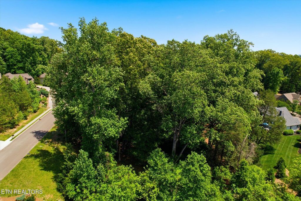 Photo of 2221 Viewcrest Lane, Knoxville, TN 37932 (MLS # 1339855)