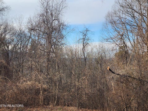 Tiny photo for 261 Harding Rd, Harriman, TN 37748 (MLS # 1356170)