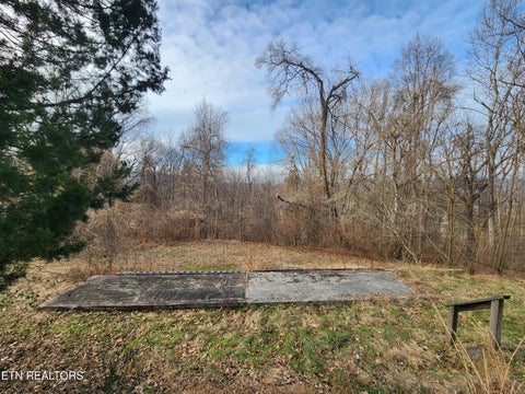 Tiny photo for 261 Harding Rd, Harriman, TN 37748 (MLS # 1356170)