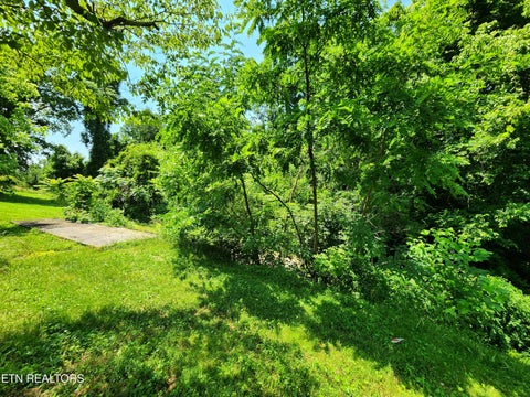 Tiny photo for 261 Harding Rd, Harriman, TN 37748 (MLS # 1356170)