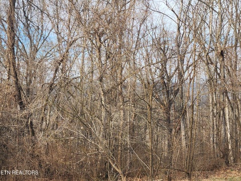 Tiny photo for 261 Harding Rd, Harriman, TN 37748 (MLS # 1356170)