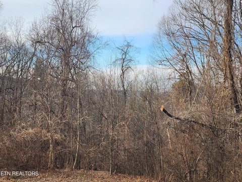 Tiny photo for 261 Harding Rd, Harriman, TN 37748 (MLS # 1356170)