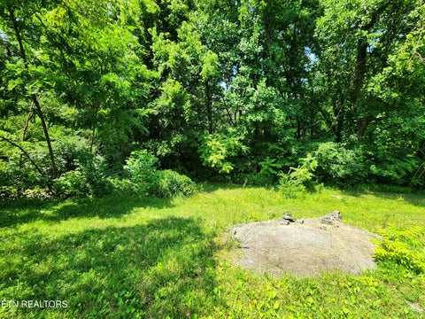 Tiny photo for 261 Harding Rd, Harriman, TN 37748 (MLS # 1356170)