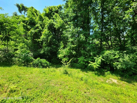 Tiny photo for 261 Harding Rd, Harriman, TN 37748 (MLS # 1356170)
