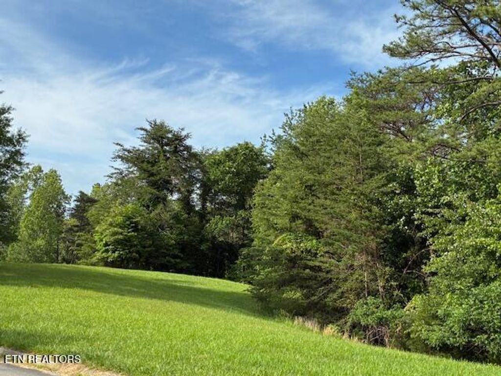 Photo of 17 Waterstone Drive, Dandridge, TN 37725 (MLS # 1301536)