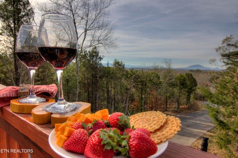 Tiny photo for 919 Buck Way, Sevierville, TN 37876 (MLS # 1317356)