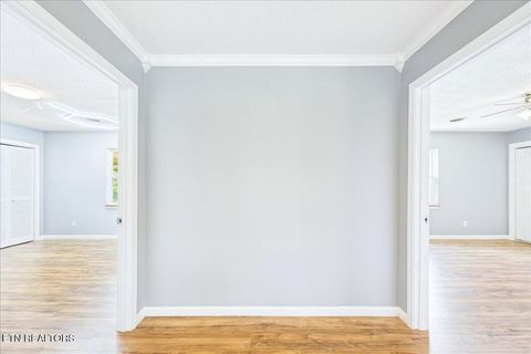 Tiny photo for 357 County Road 520, Englewood, TN 37329 (MLS # 1347363)