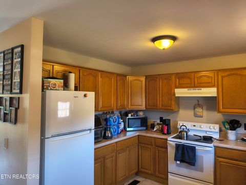 Tiny photo for 139 Kenzie Lane, LaFollette, TN 37766 (MLS # 1327338)