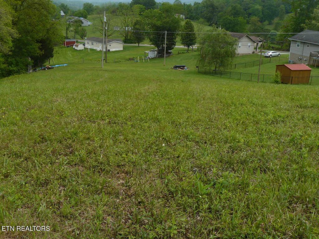 Photo of Della Lane, Tazewell, TN 37879 (MLS # 1262187)