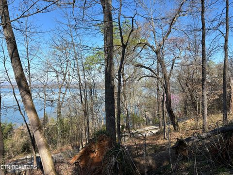 Tiny photo for 38 Johnson Lane, Ten Mile, TN 37880 (MLS # 1333376)