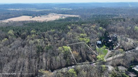Tiny photo for 38 Johnson Lane, Ten Mile, TN 37880 (MLS # 1333376)
