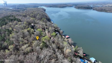 Tiny photo for 38 Johnson Lane, Ten Mile, TN 37880 (MLS # 1333376)