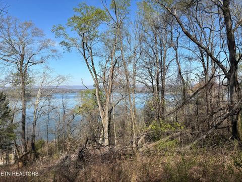 Tiny photo for 38 Johnson Lane, Ten Mile, TN 37880 (MLS # 1333376)
