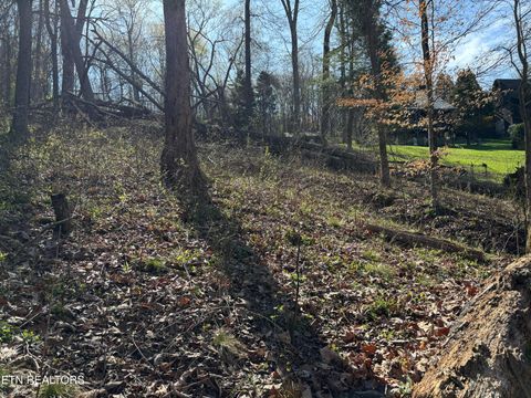Tiny photo for 38 Johnson Lane, Ten Mile, TN 37880 (MLS # 1333376)