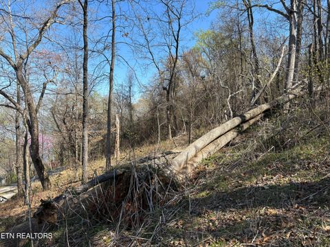 Tiny photo for 38 Johnson Lane, Ten Mile, TN 37880 (MLS # 1333376)