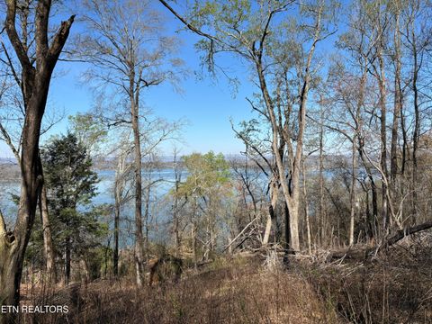 Tiny photo for 38 Johnson Lane, Ten Mile, TN 37880 (MLS # 1333376)