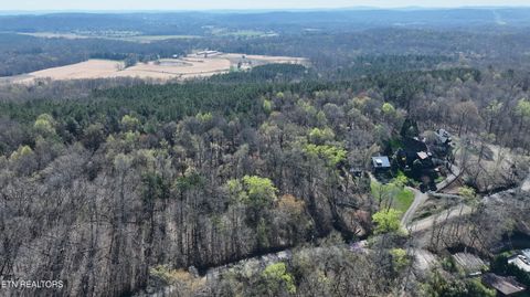 Tiny photo for 38 Johnson Lane, Ten Mile, TN 37880 (MLS # 1333376)
