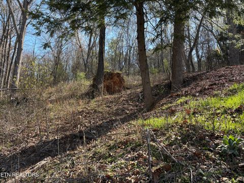 Tiny photo for 38 Johnson Lane, Ten Mile, TN 37880 (MLS # 1333376)
