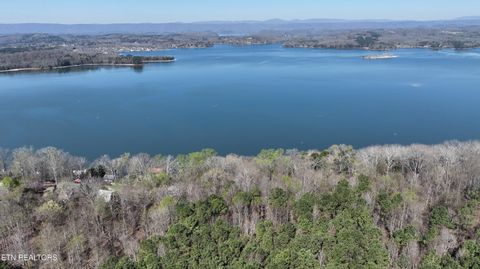 Tiny photo for 38 Johnson Lane, Ten Mile, TN 37880 (MLS # 1333376)