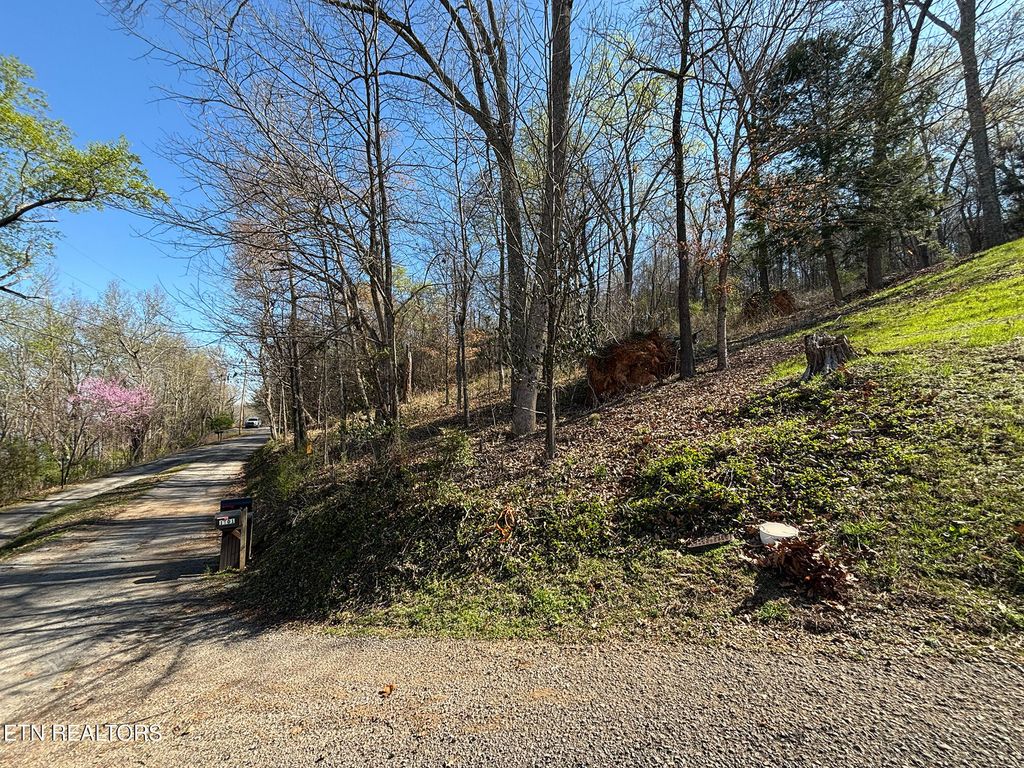 Photo of 38 Johnson Lane, Ten Mile, TN 37880 (MLS # 1333376)