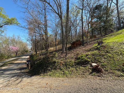 Tiny photo for 38 Johnson Lane, Ten Mile, TN 37880 (MLS # 1333376)