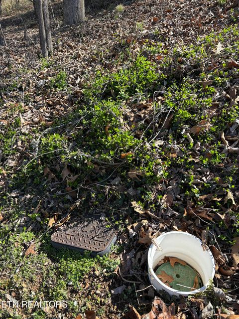 Tiny photo for 38 Johnson Lane, Ten Mile, TN 37880 (MLS # 1333376)